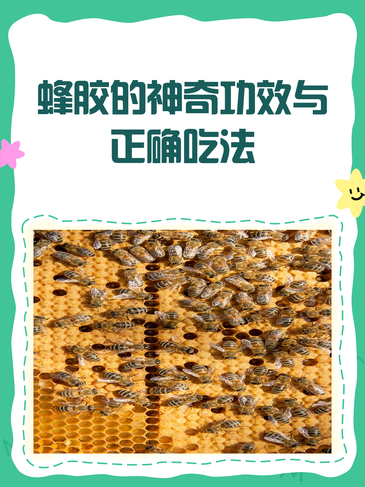 蜂胶的作用和吃法(蜂胶的作用与功效禁忌人群)