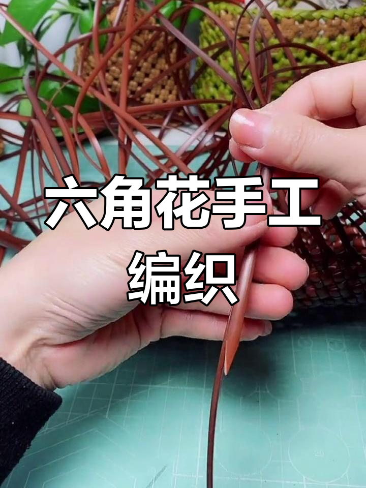 藤条编织六角花技巧分享