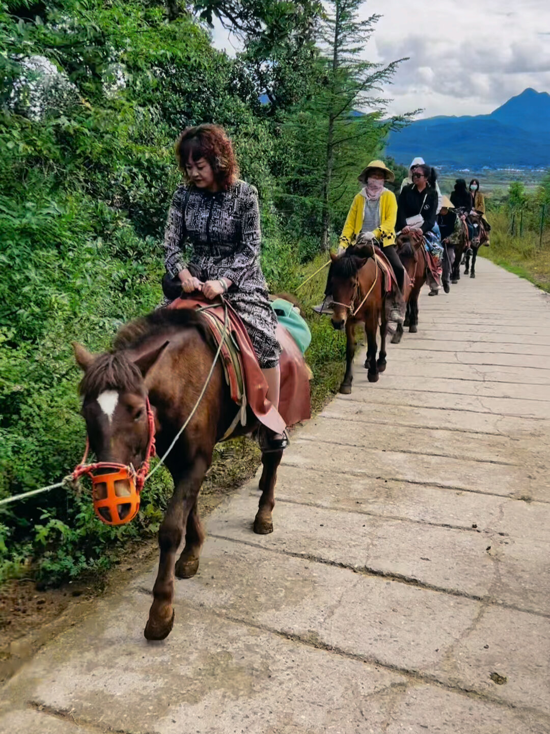 来丽江一定要体验骑马走一回茶马古道