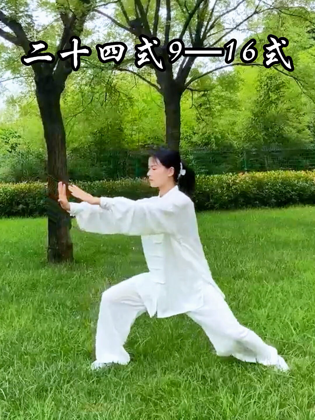 太极拳二十四式教学之～中间八式