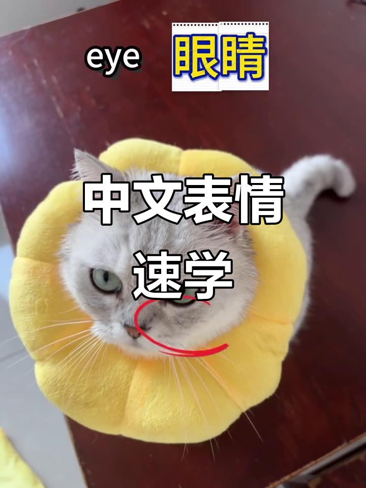 5个常用中文表情词,轻松掌握!