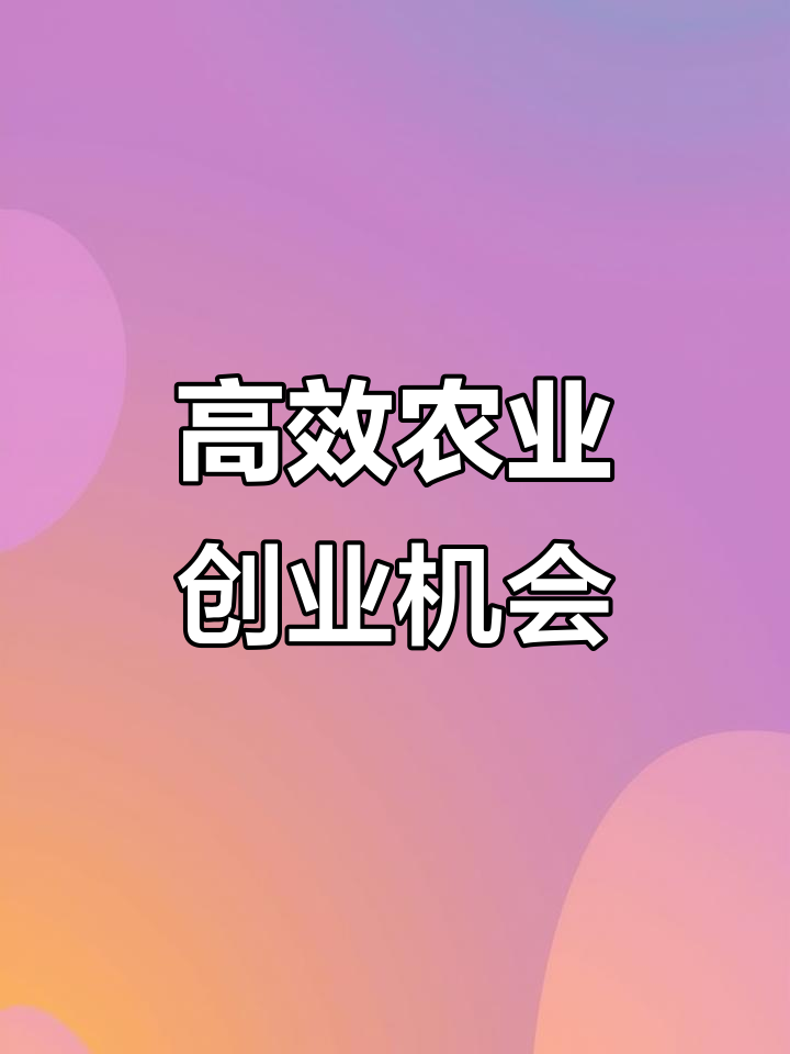 新致富好项目(致富新项目快速盈利)
