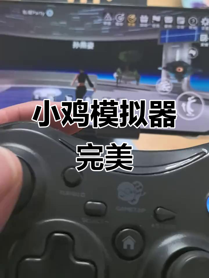 小鸡模拟器完美运行,体验超乎想象