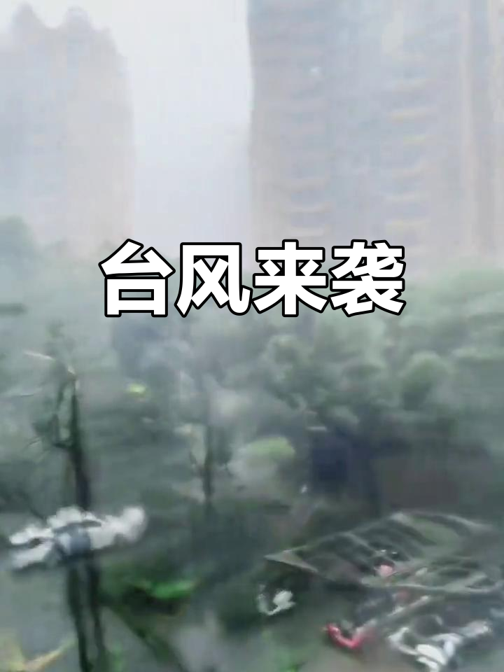 taifeng=台风路径实时路径