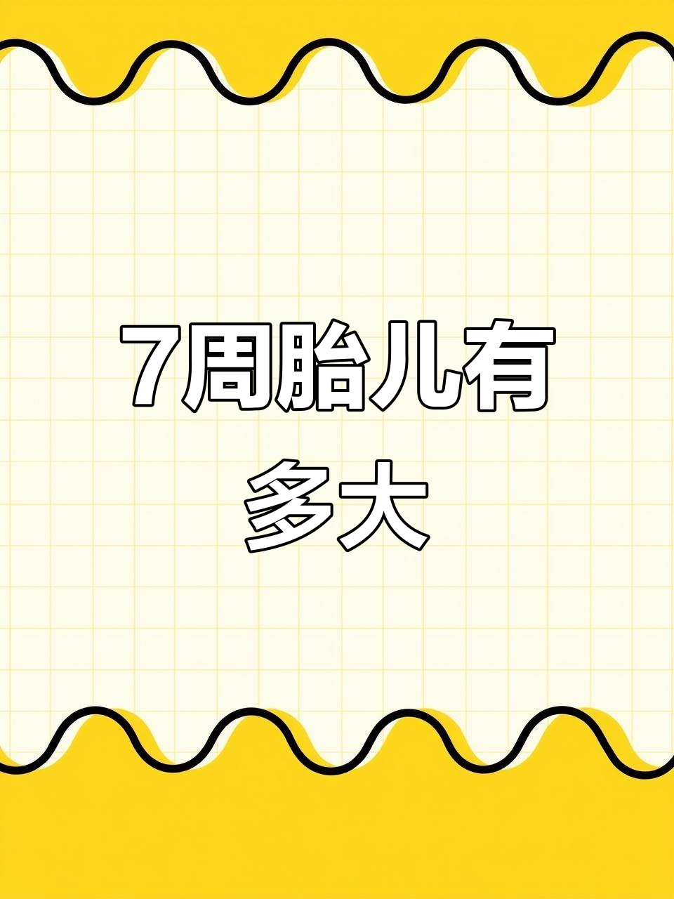孕7周,胎宝宝已经初具人形,像一颗花生米大小