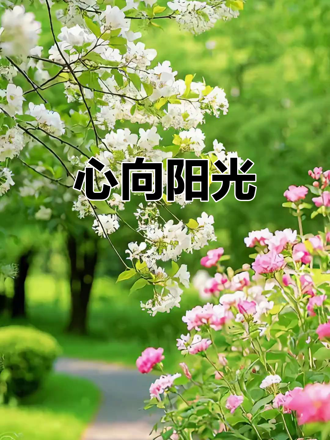 6月5日,愿你心怀阳光,健康快乐生活