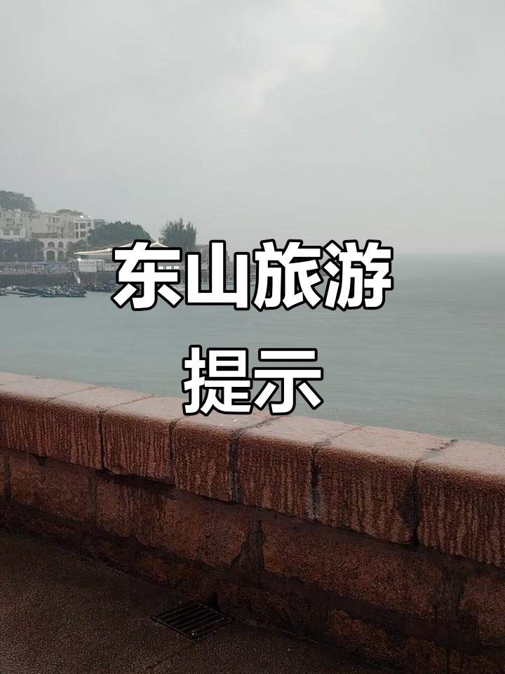 东山天气天气大全