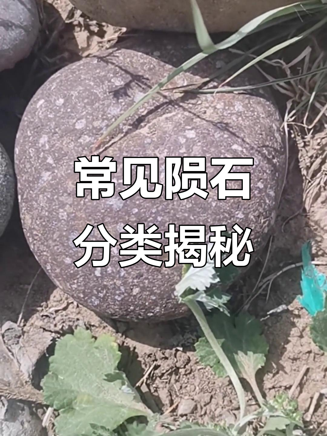 陨石类型全解析:从球粒到k型,你了解吗?