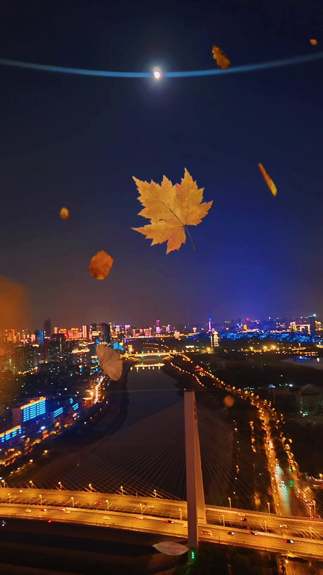 一转眼秋天变成了故事,冬天变成了风景 立冬 城市的夜晚 最美夜景91