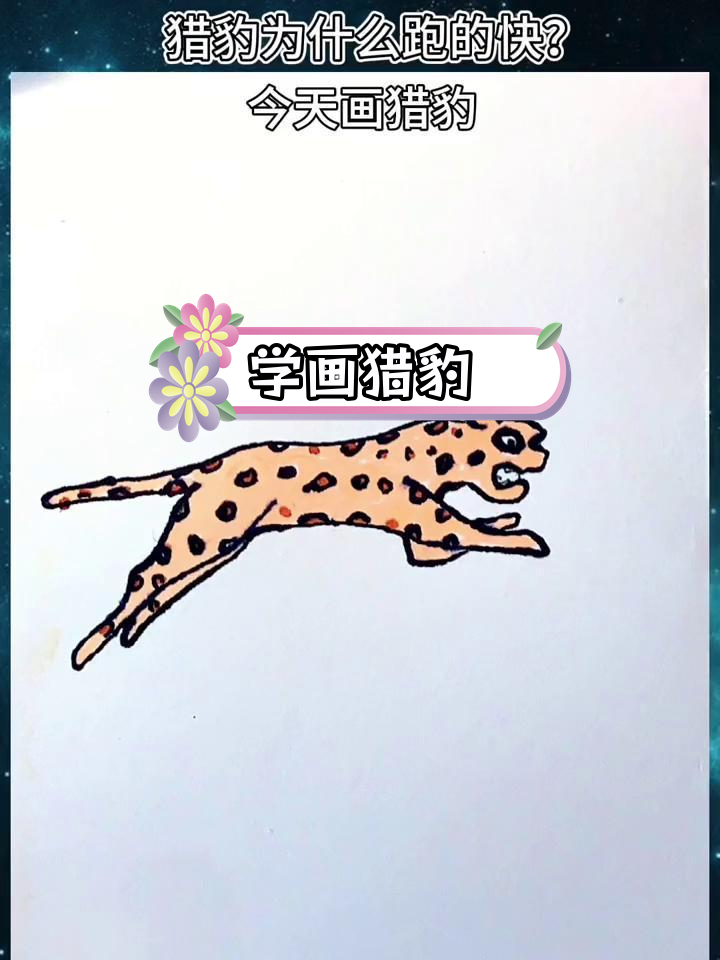 猎豹简笔画画法图片