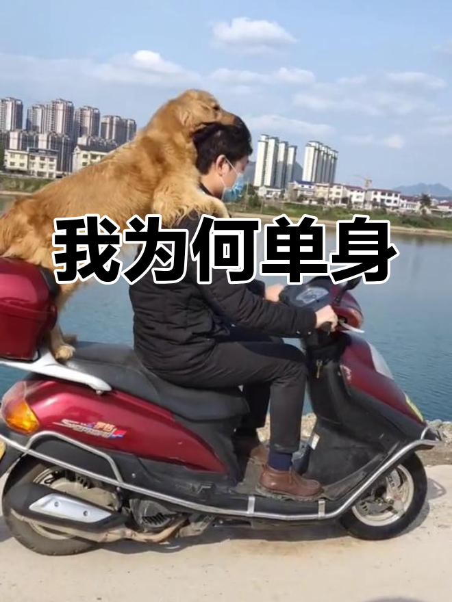 为什么不找女朋友
