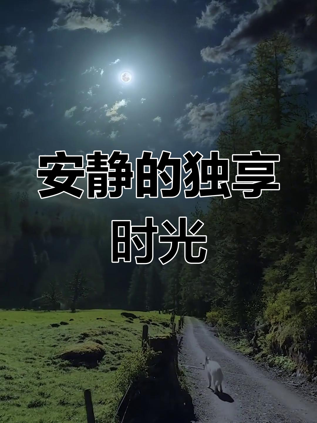 一个人独处,享受安静的氛围