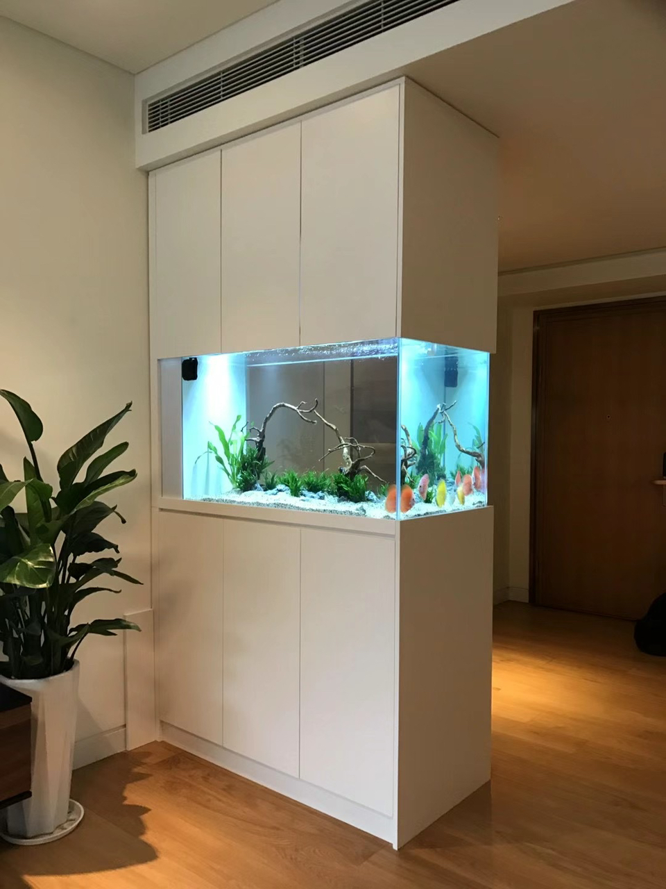 鱼缸对着入户门事大家怎么看?来评论区留言