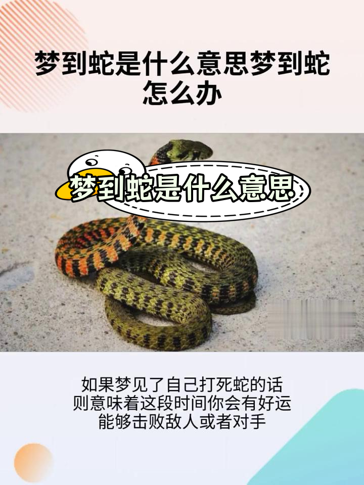 快出成绩时的人梦见蛇（出成绩前梦见蛇是什么预兆） 快出结果


时的人梦见蛇（出结果


前梦见蛇是什么预兆） 卜算大全