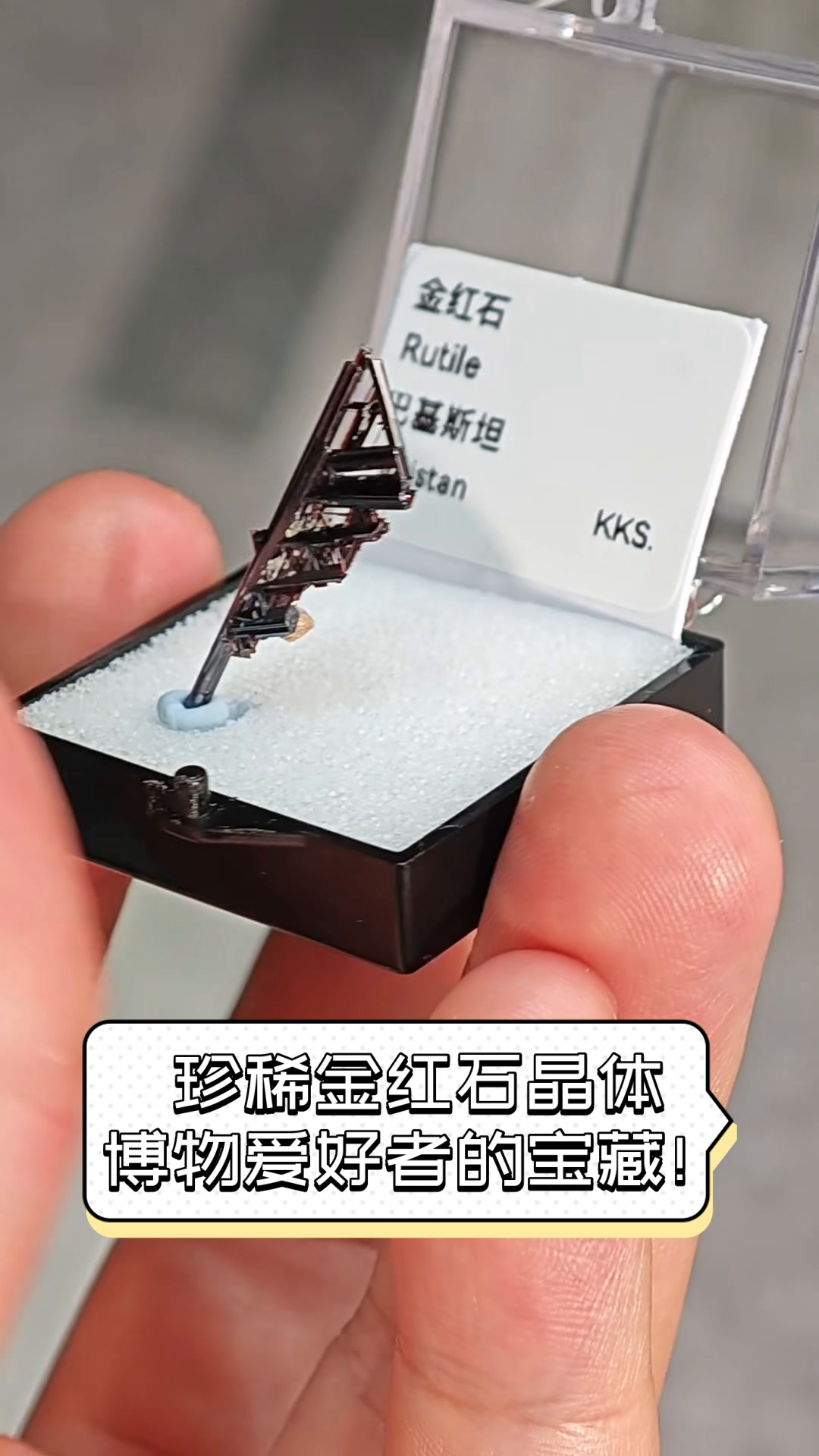 珍稀金红石晶体,博物爱好者的宝藏!