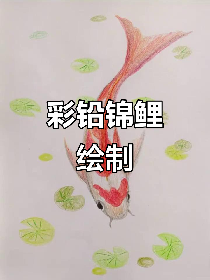 彩铅画锦鲤,轻松入门手绘技巧
