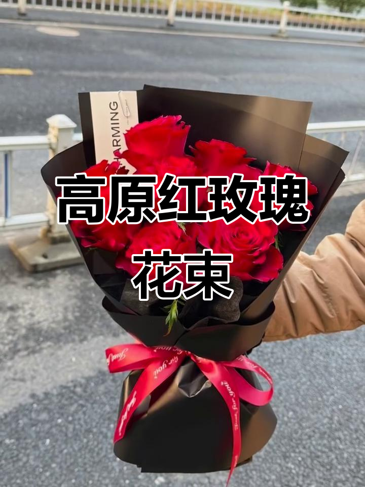 9支高原红玫瑰花束,表白,生日,求婚必备!