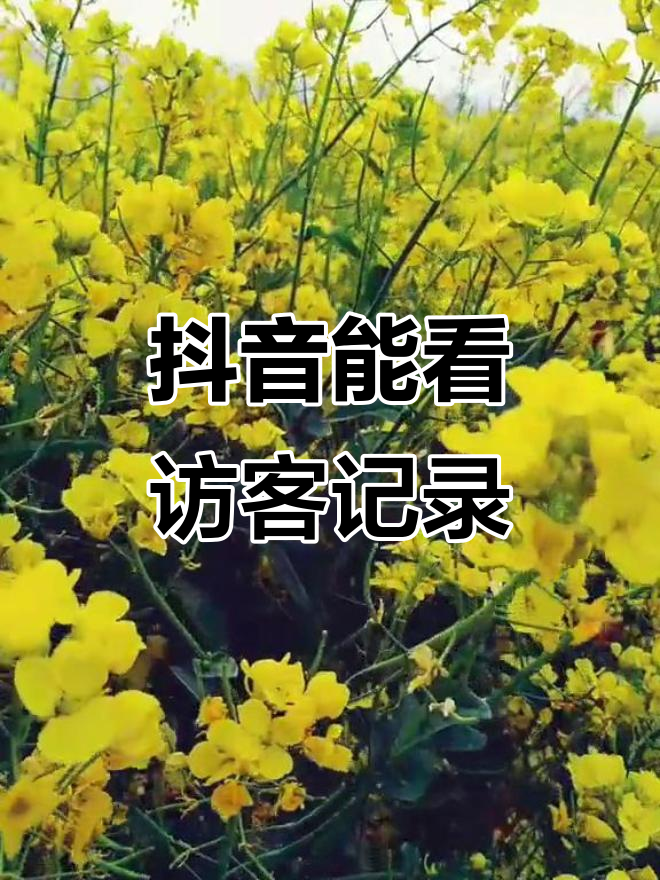 抖音主页访客是=抖音主页访客是来一次记录一次吗