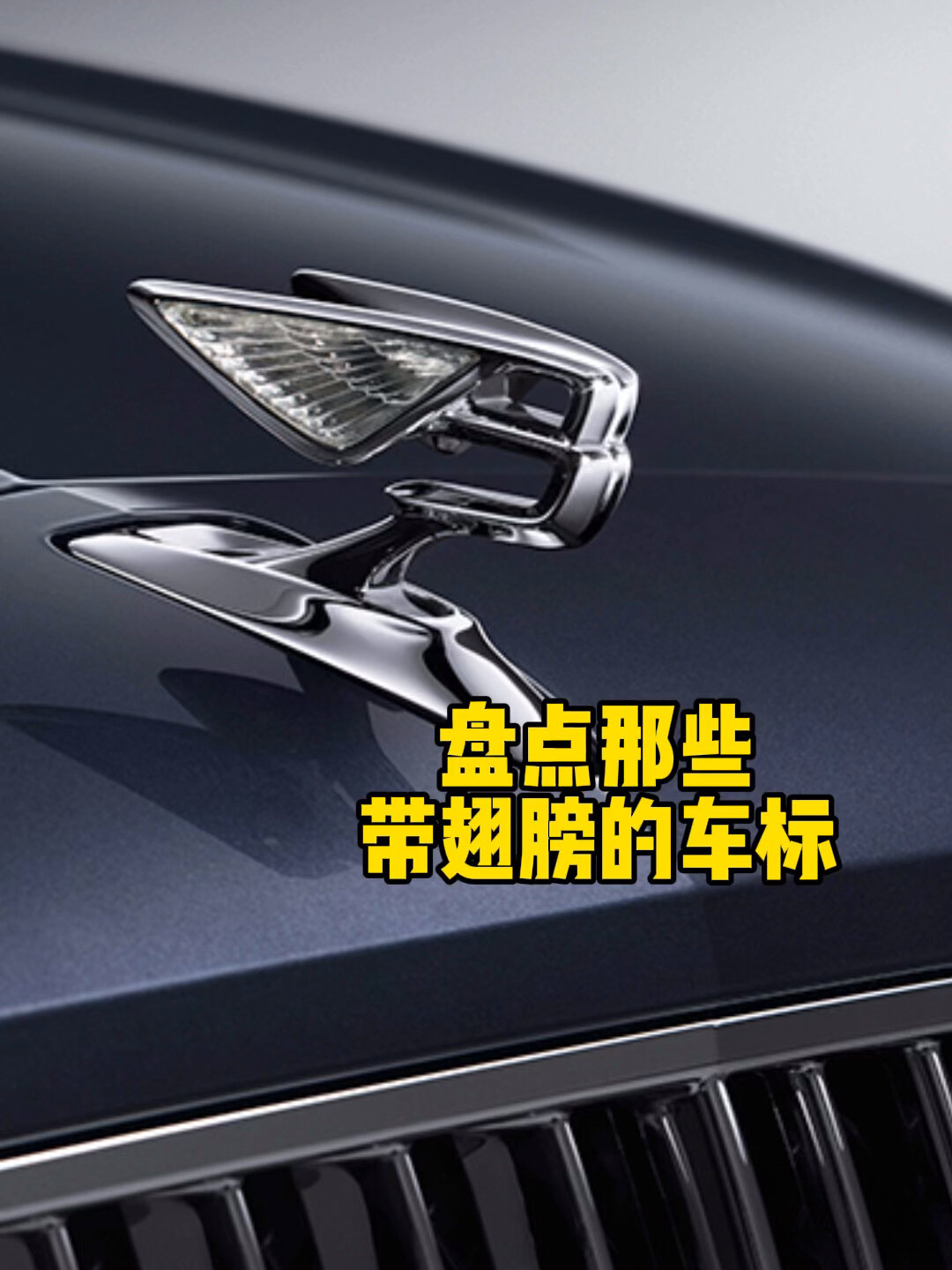 盘点那些带翅膀的车标,你喜欢哪款?