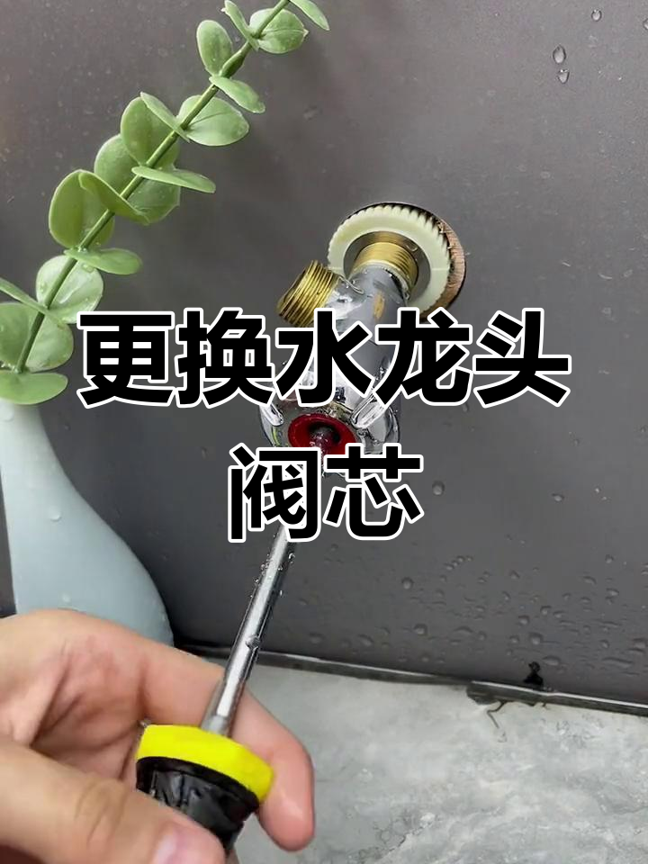 截止阀换阀芯教程图片