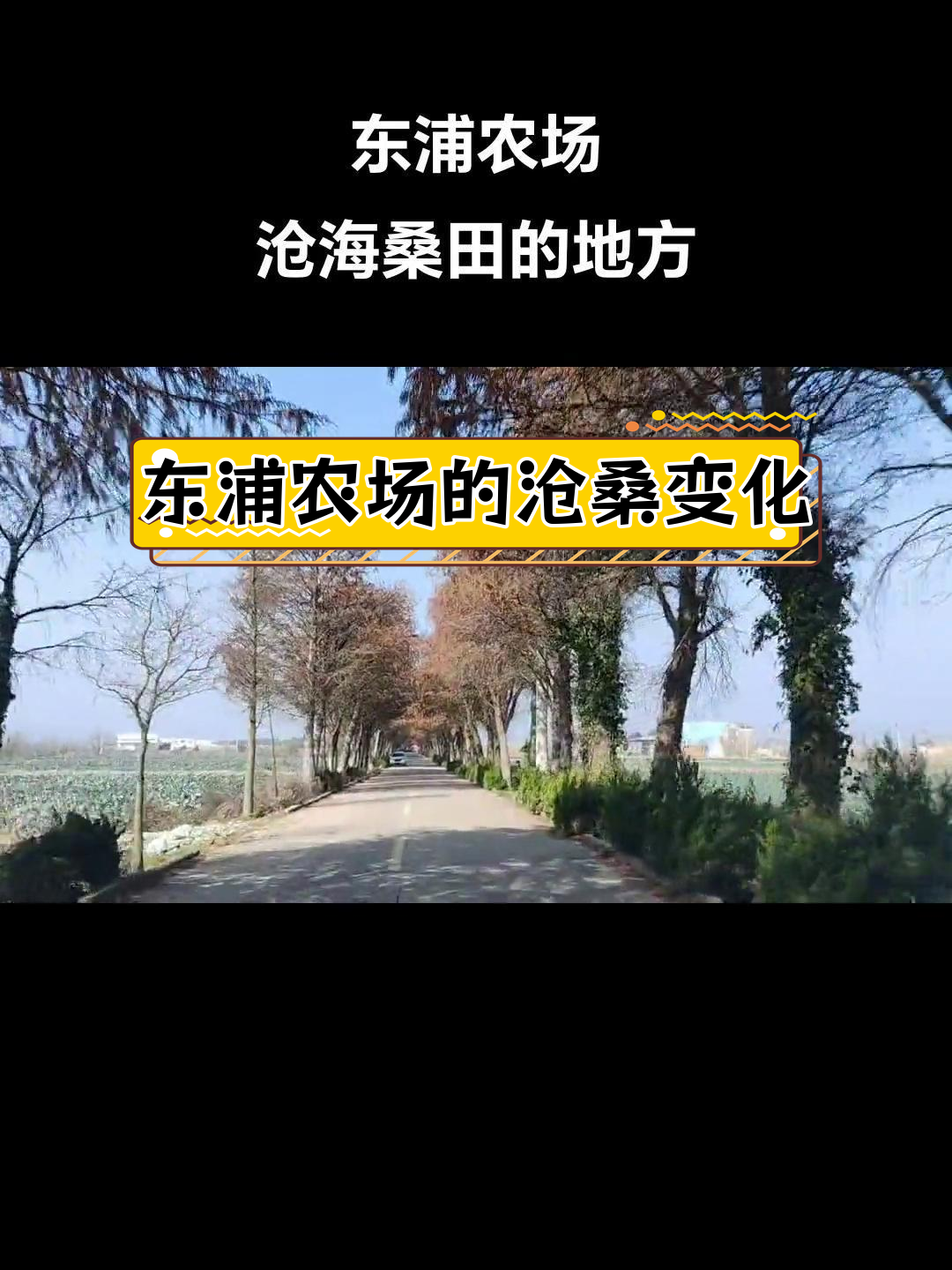 上海东海农场改造图片