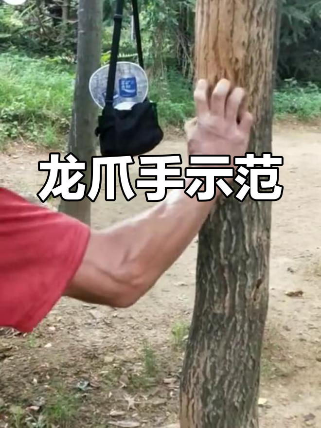 龙爪手技巧演示,轻松掌握抓握力量