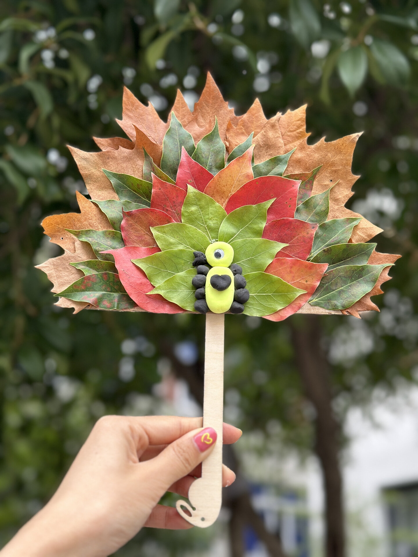 秋日限定 亲子手工孔雀树叶扇贴画