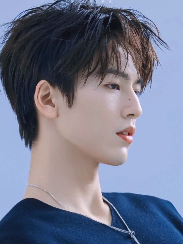 每日壁纸/张凌赫