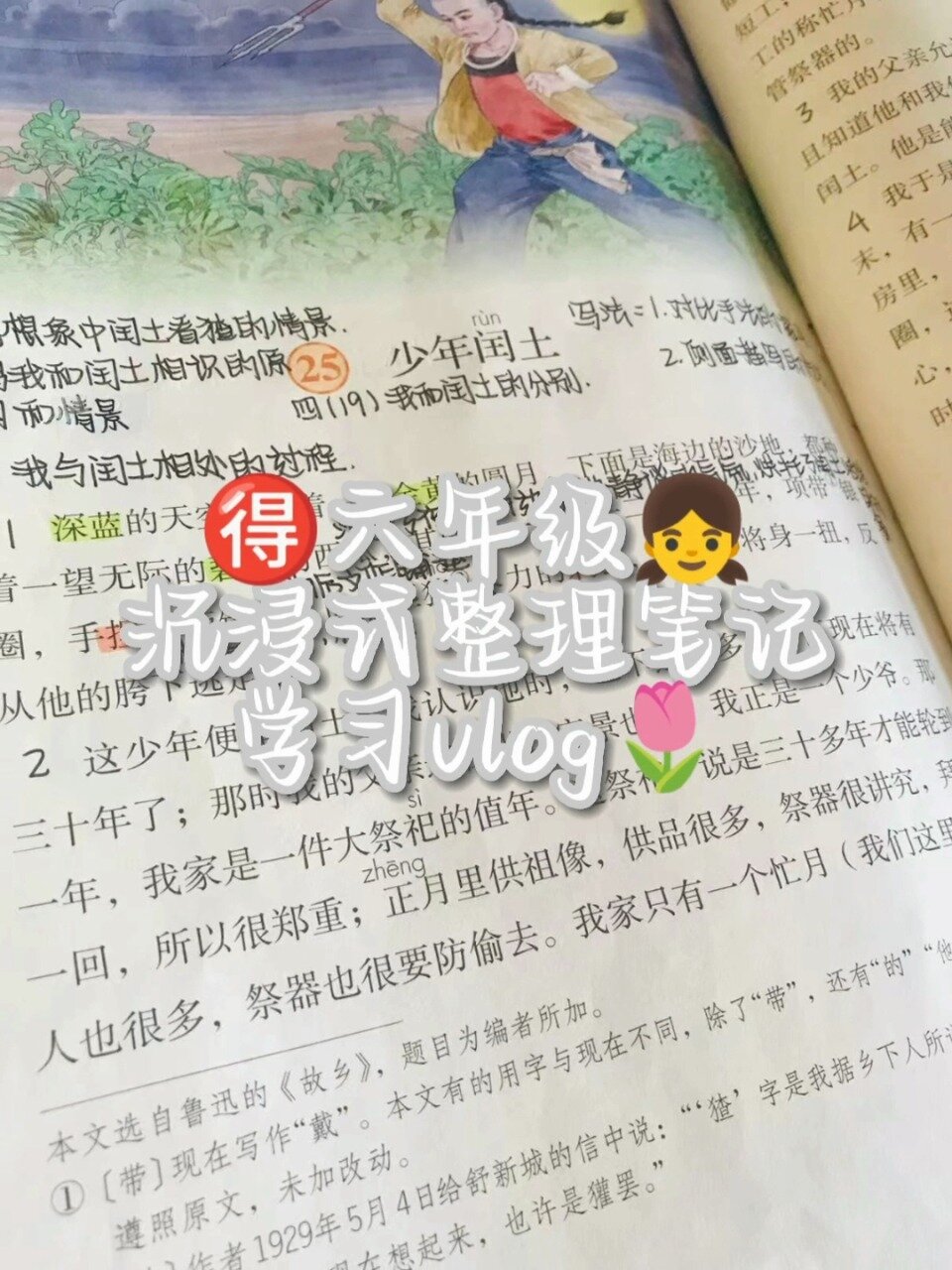 整理笔记—少年闰土