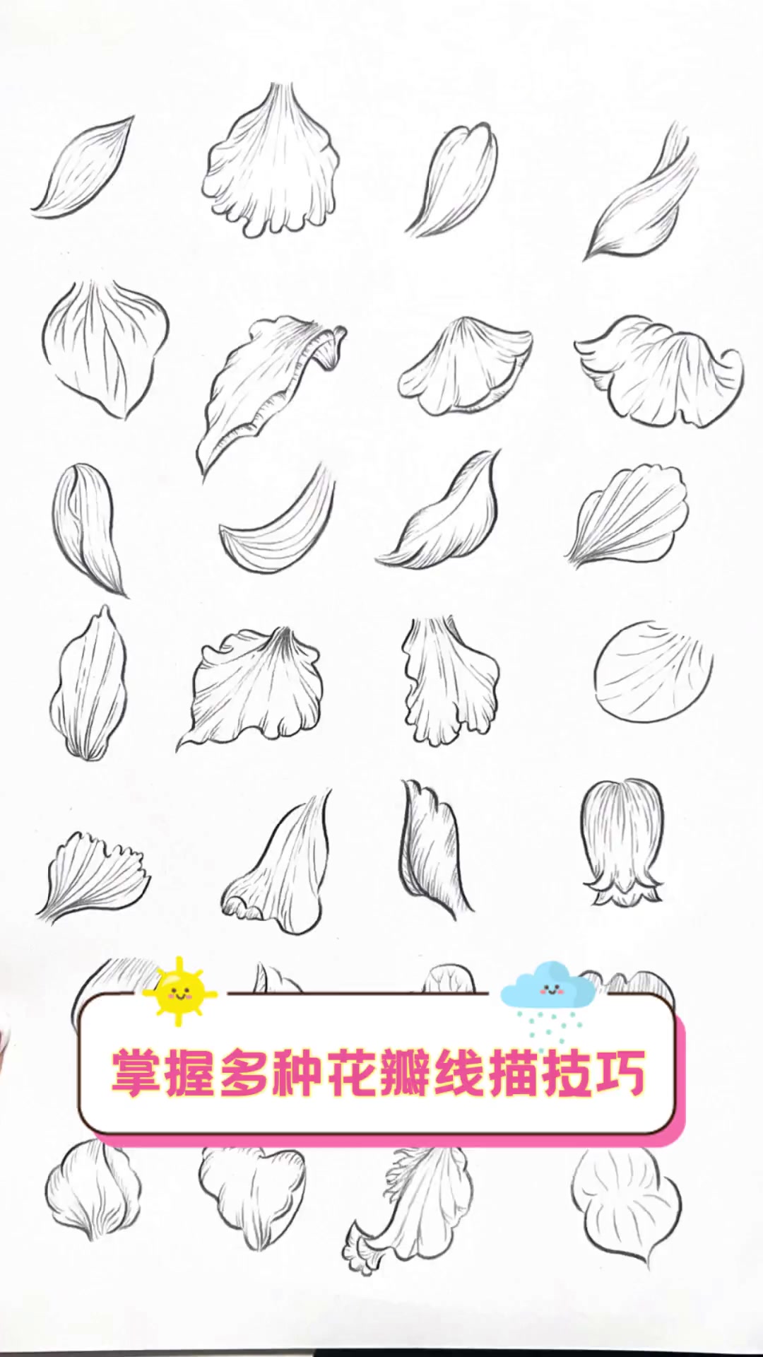 掌握多种花瓣线描技巧