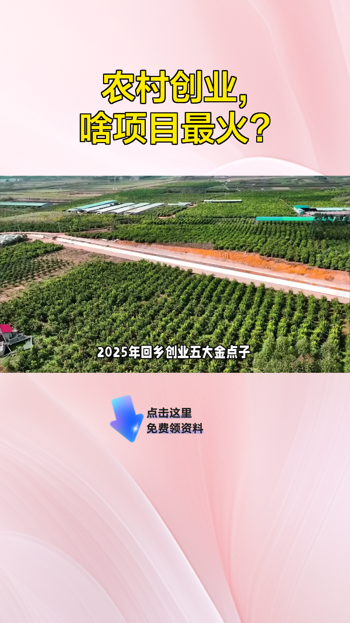 农村创业项目致富(2017农村创业致富项目)