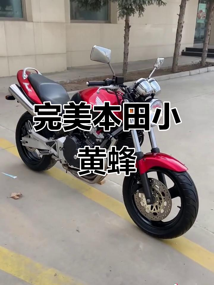 本田小黄蜂250原车细节展示,橙色纯水大货完美呈现