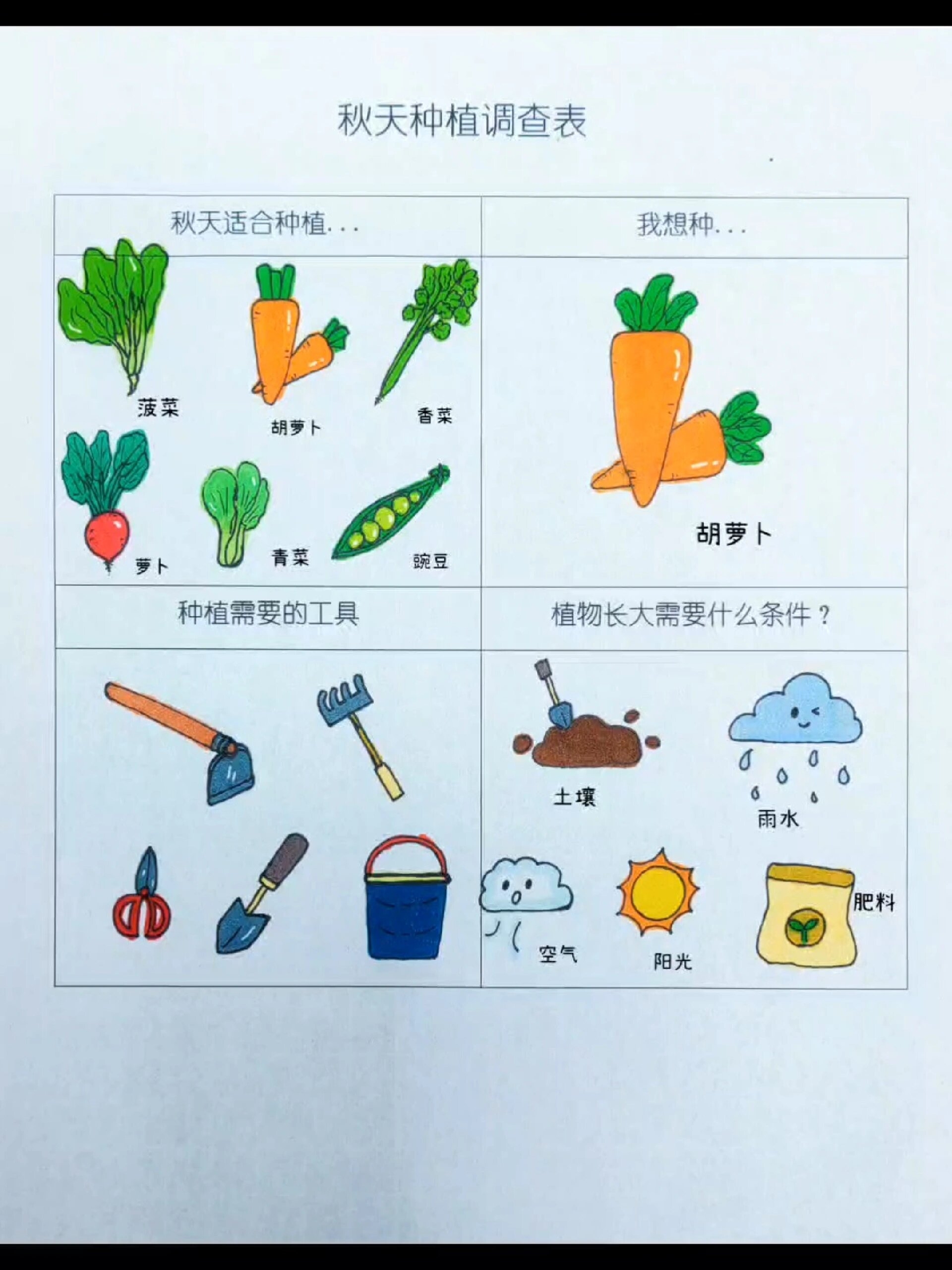 幼儿园植物种植调查表图片