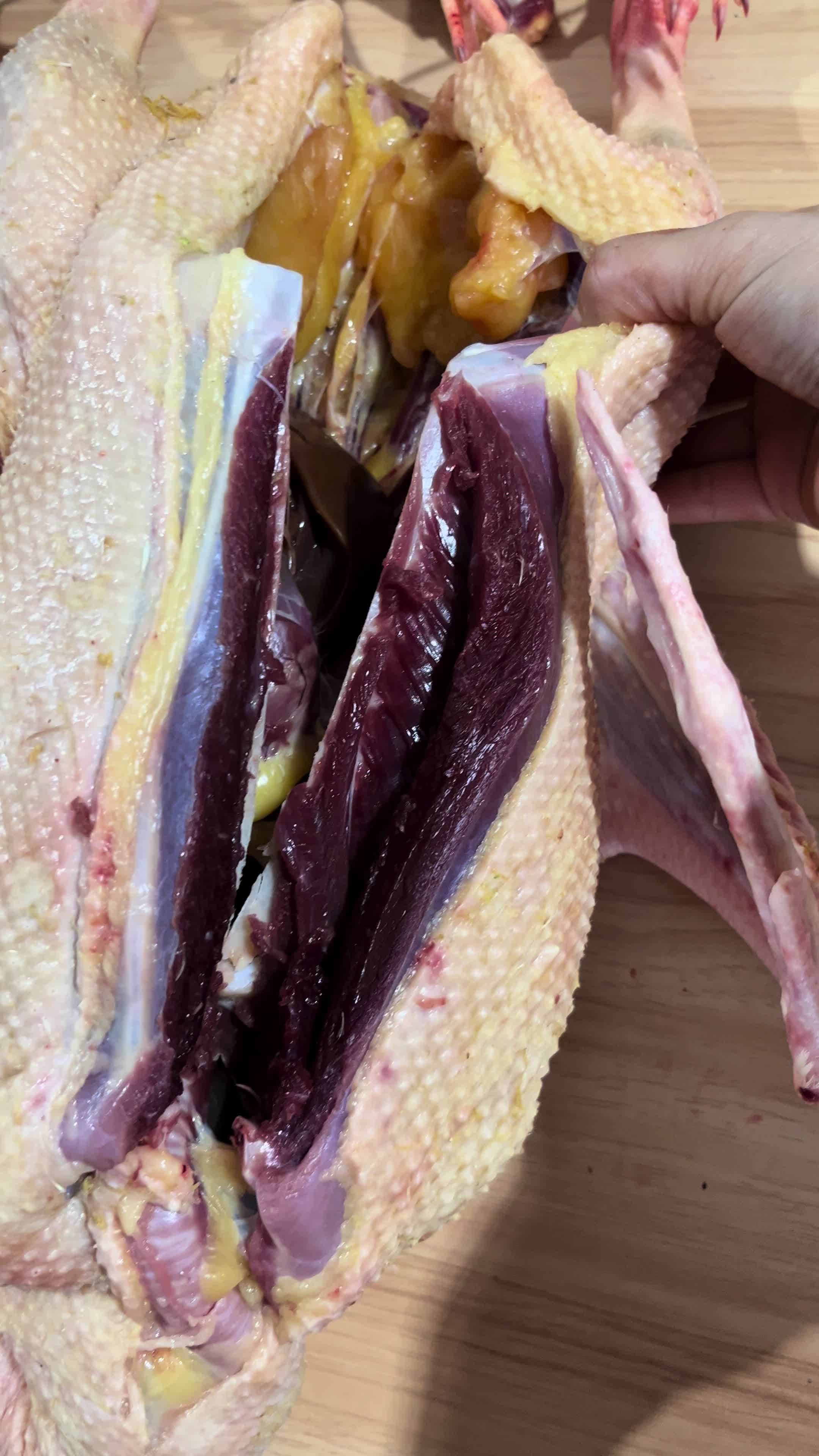 鸡鸭鹅 散养 家禽 放心肉 每天都是新鲜食材 放心购买不好的都是不会