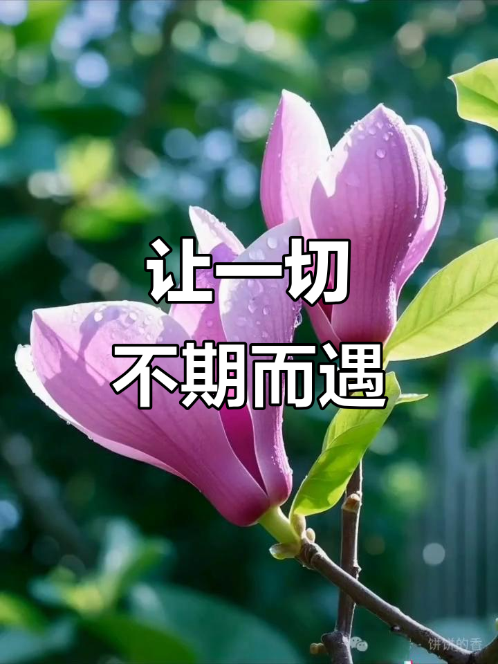 愿所有美好如期而至,生活处处充满惊喜