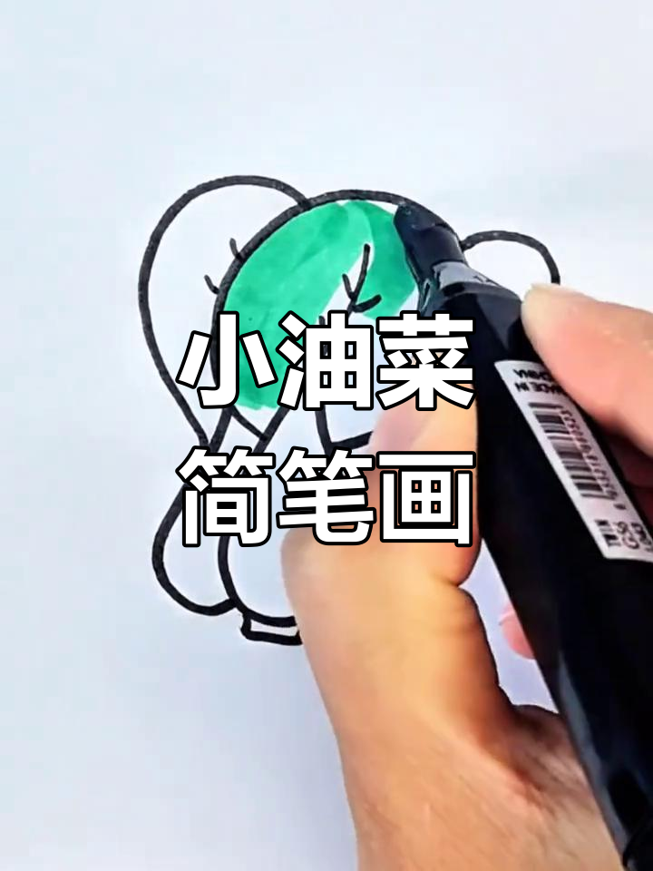 简单学画小油菜