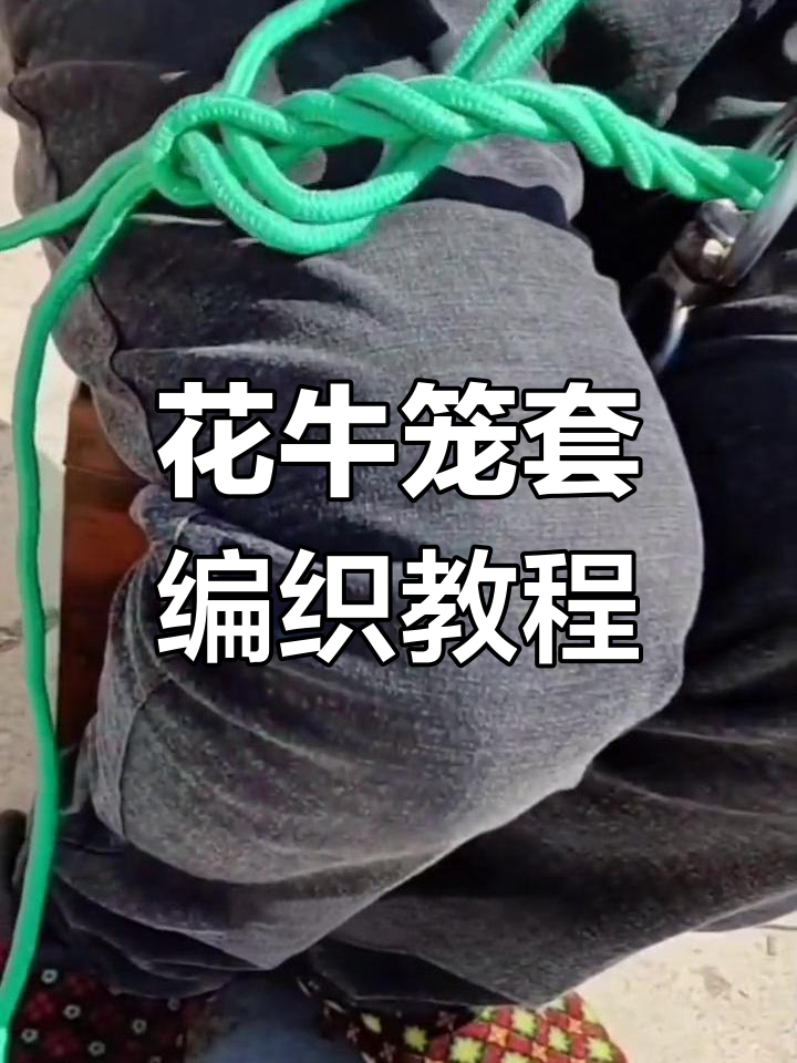 轻松学会编花牛笼套,实用又美观