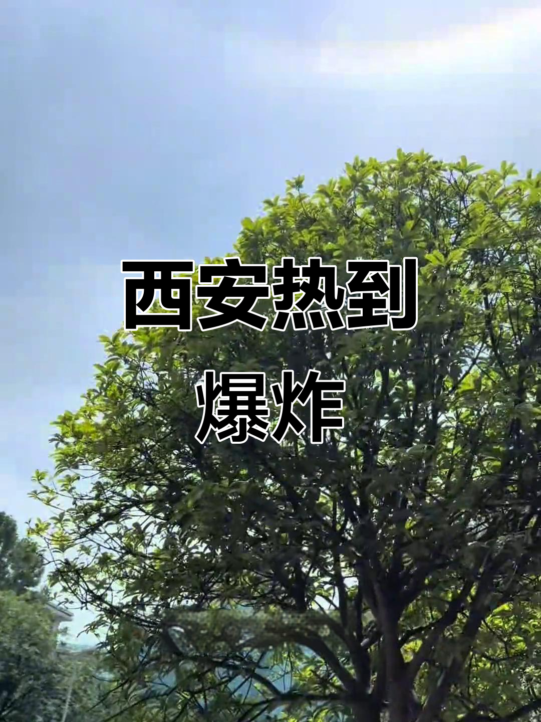 西安高温破纪录,地表温度超60度!
