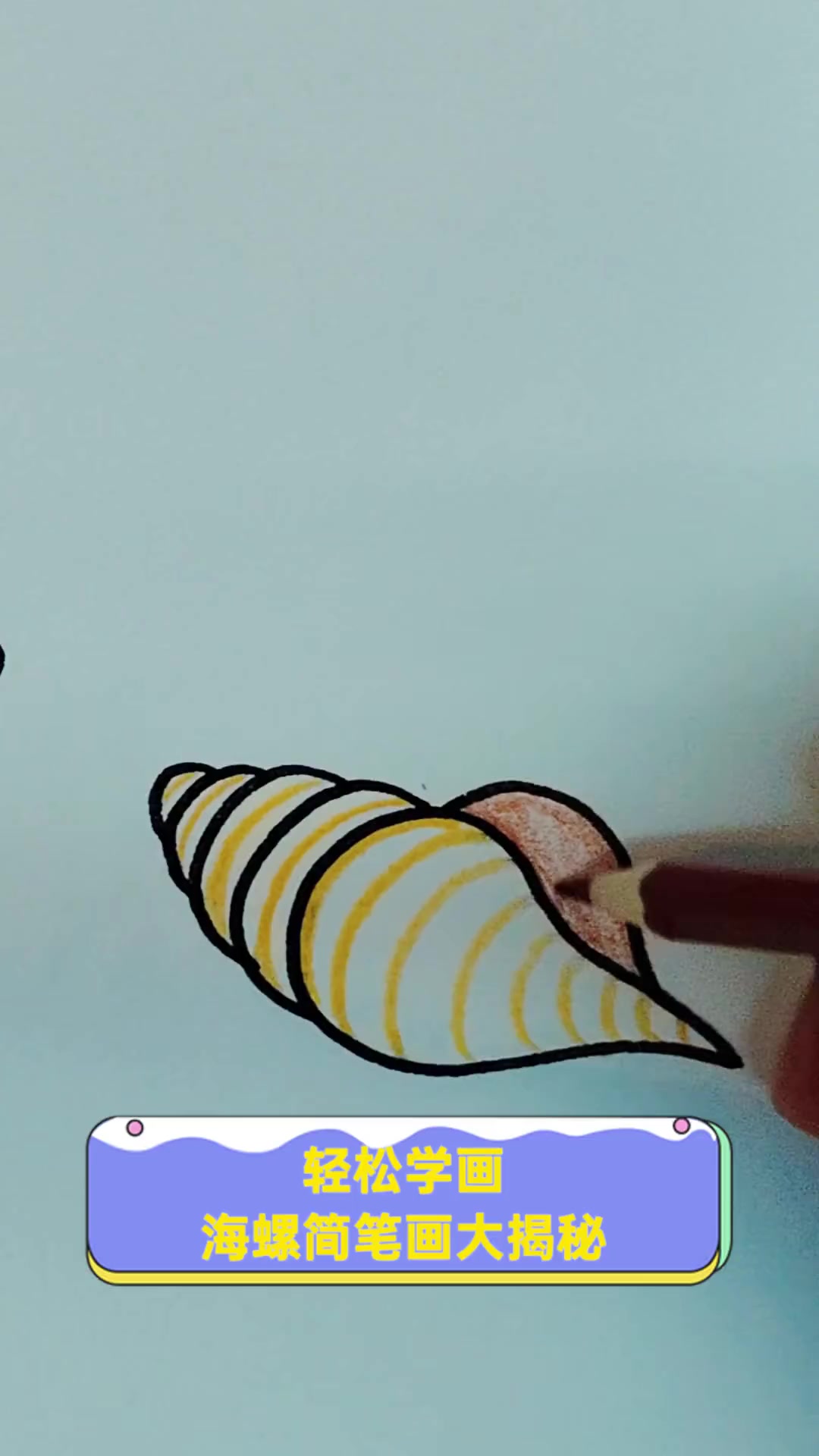 轻松学画,海螺简笔画大揭秘