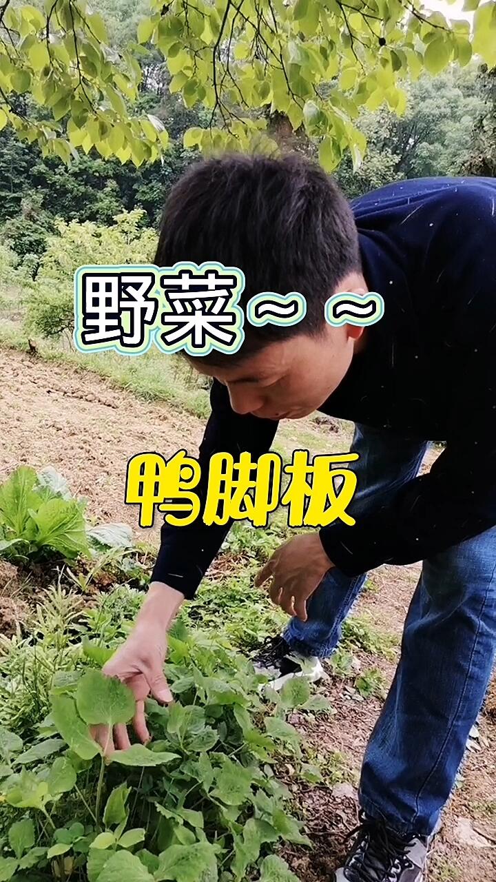 鸭脚板 做法图片