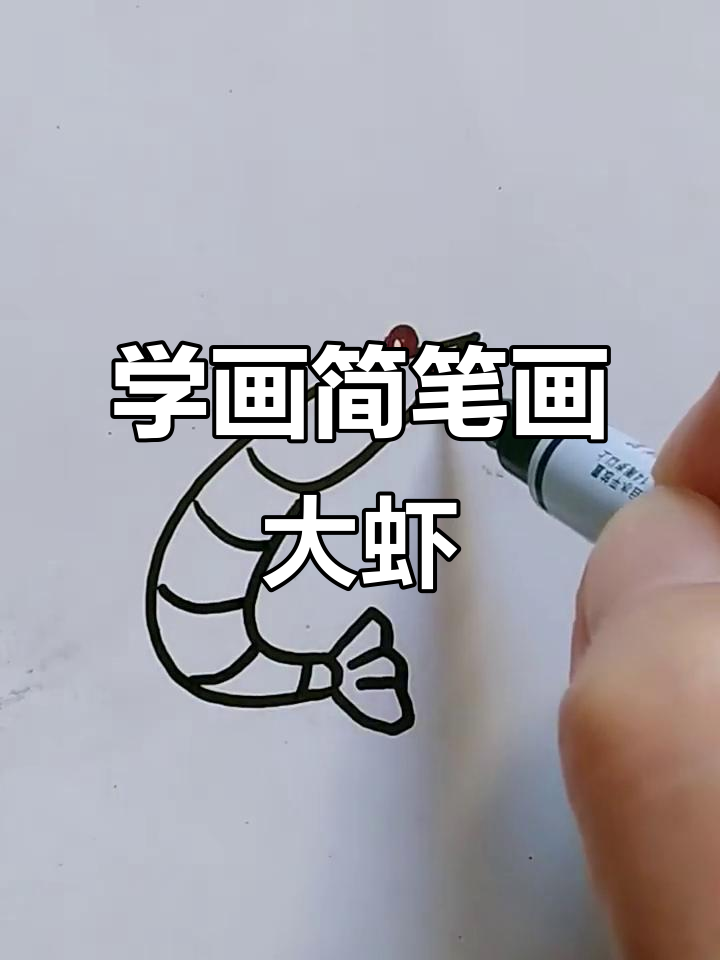 轻松学画可爱大虾,简单又有趣!