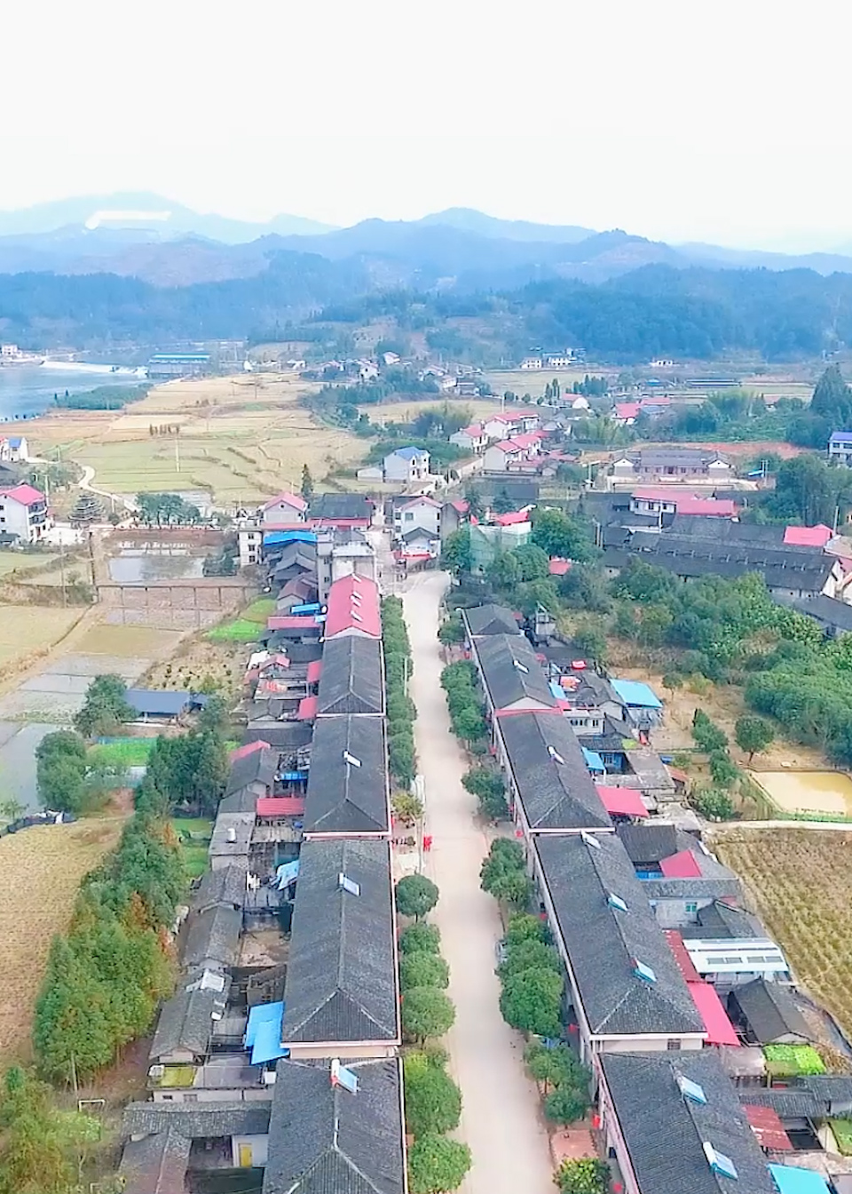 我们的新时代怀化靖州产业发展为引擎乡村振兴有路子