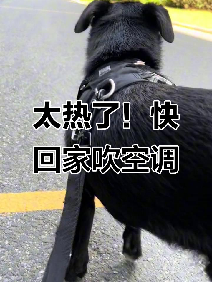 外面太热了,回家吹空调享受清凉时光