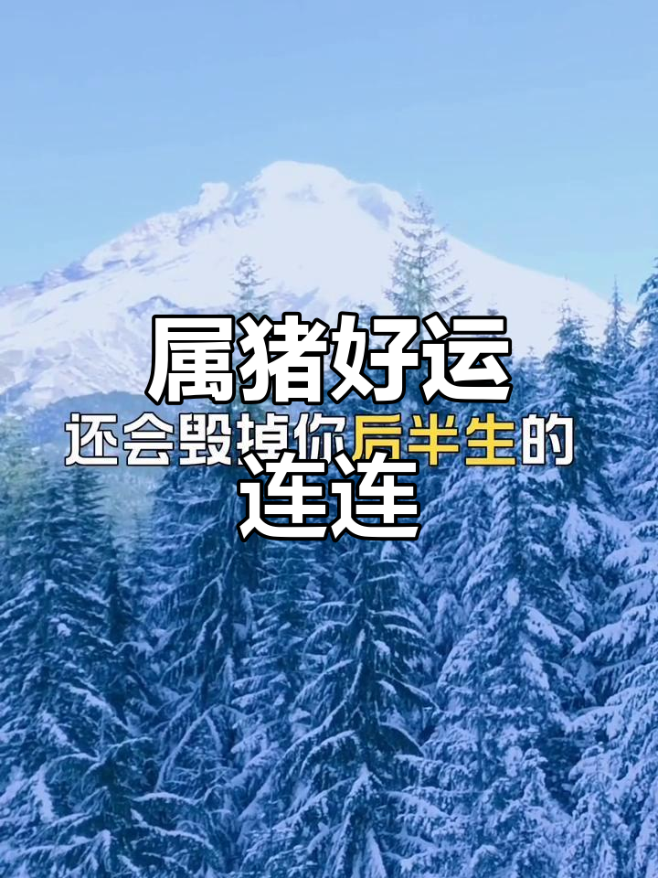 生肖猪八月复合运势(生肖猪八月份运势)