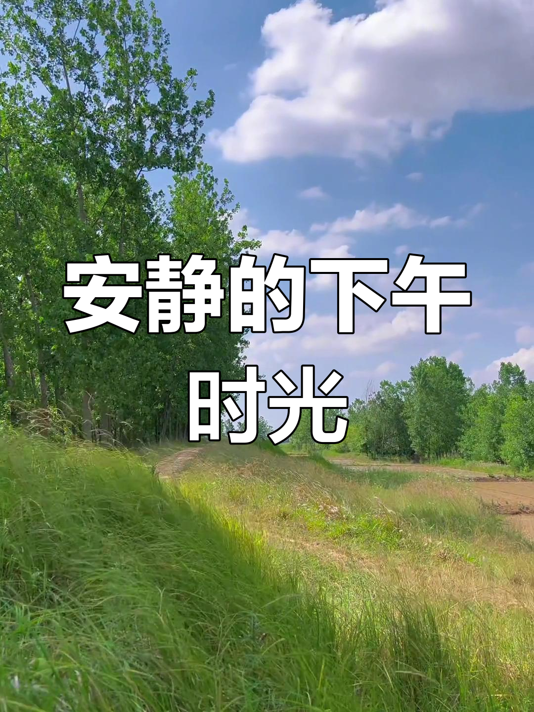 找个安静的地方,享受一下午的宁静时光