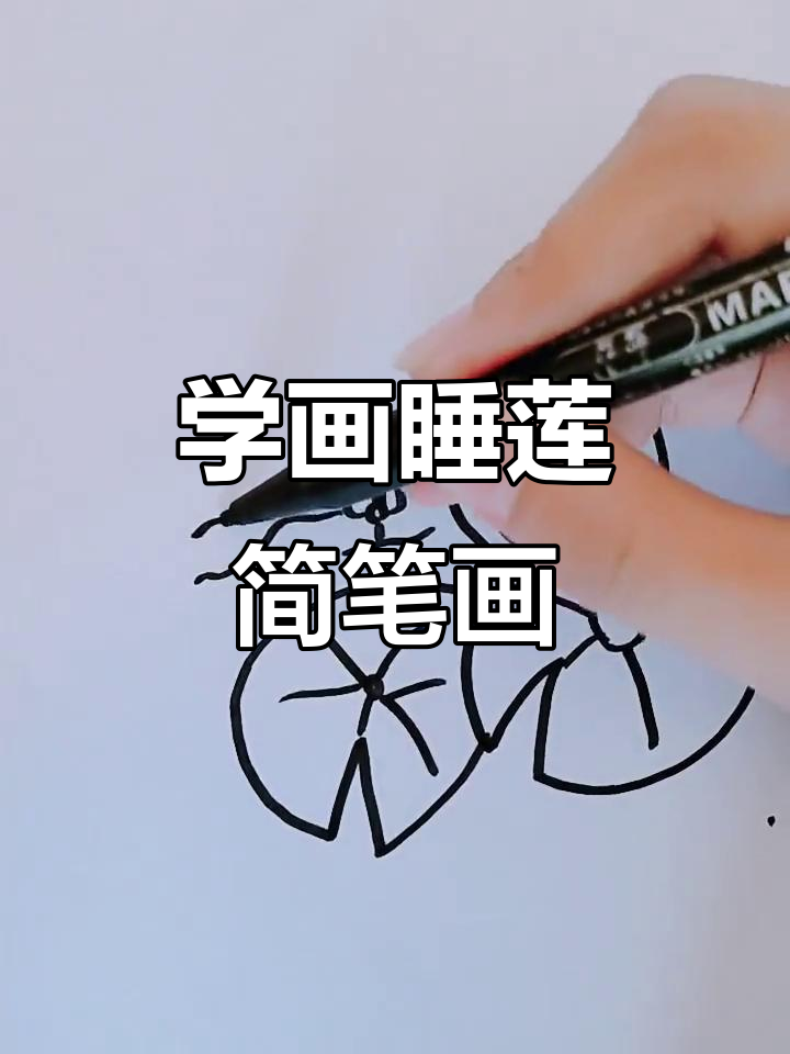 轻松学画睡莲,简单又有趣