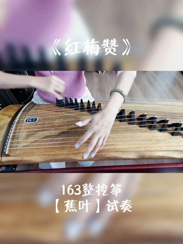 古筝弹奏经典红歌《红梅赞》