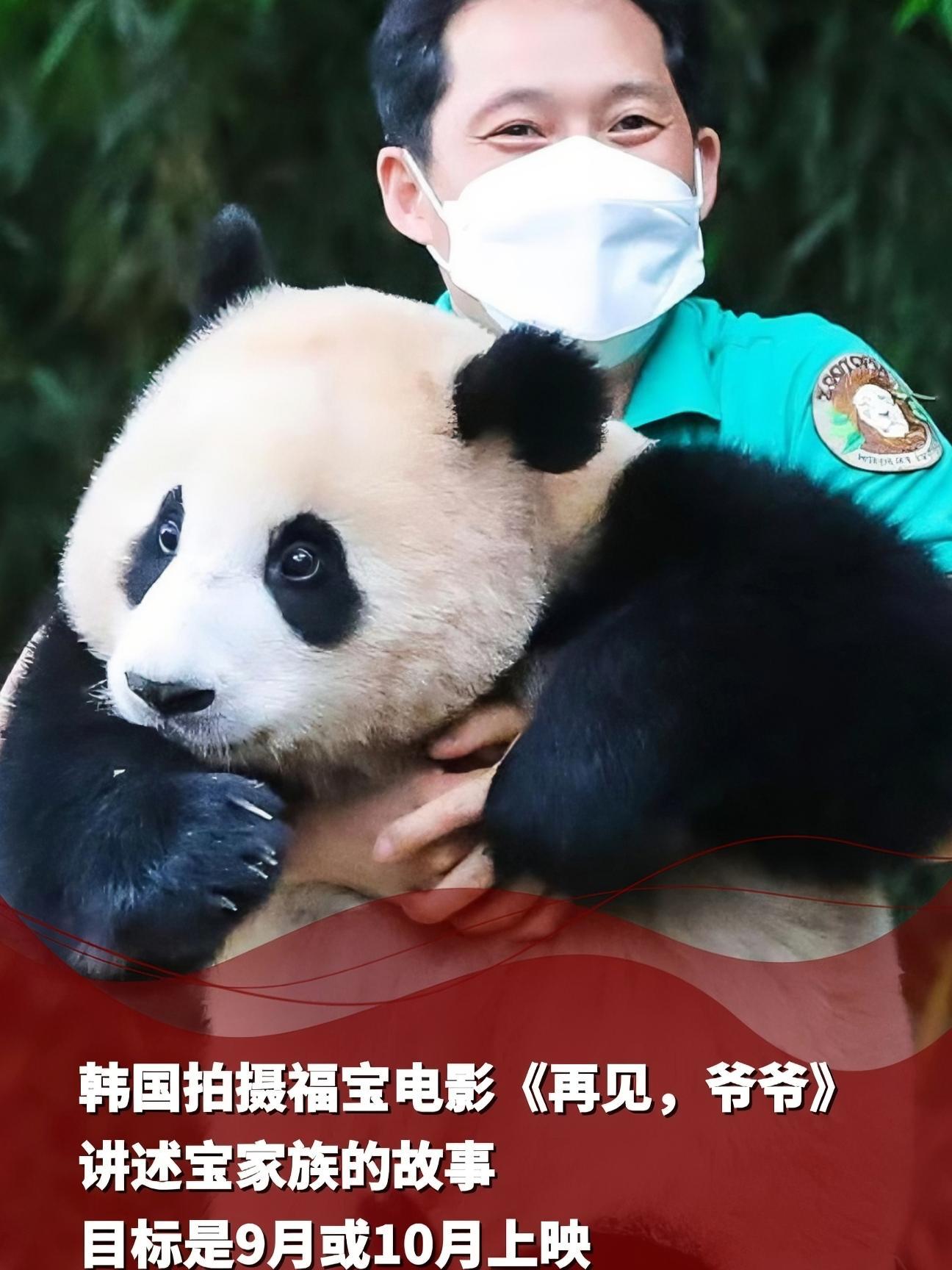 韩国拍摄福宝电影再见爷爷讲述宝家族的故事目标是9月或10月上映