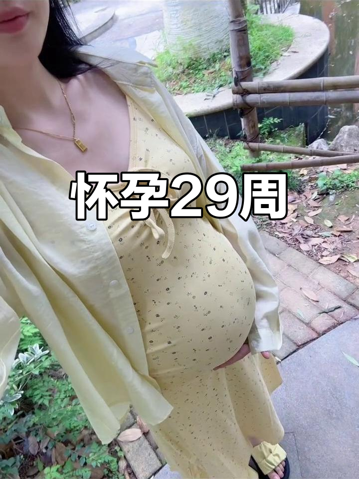 孕29周,宝宝健康发育中