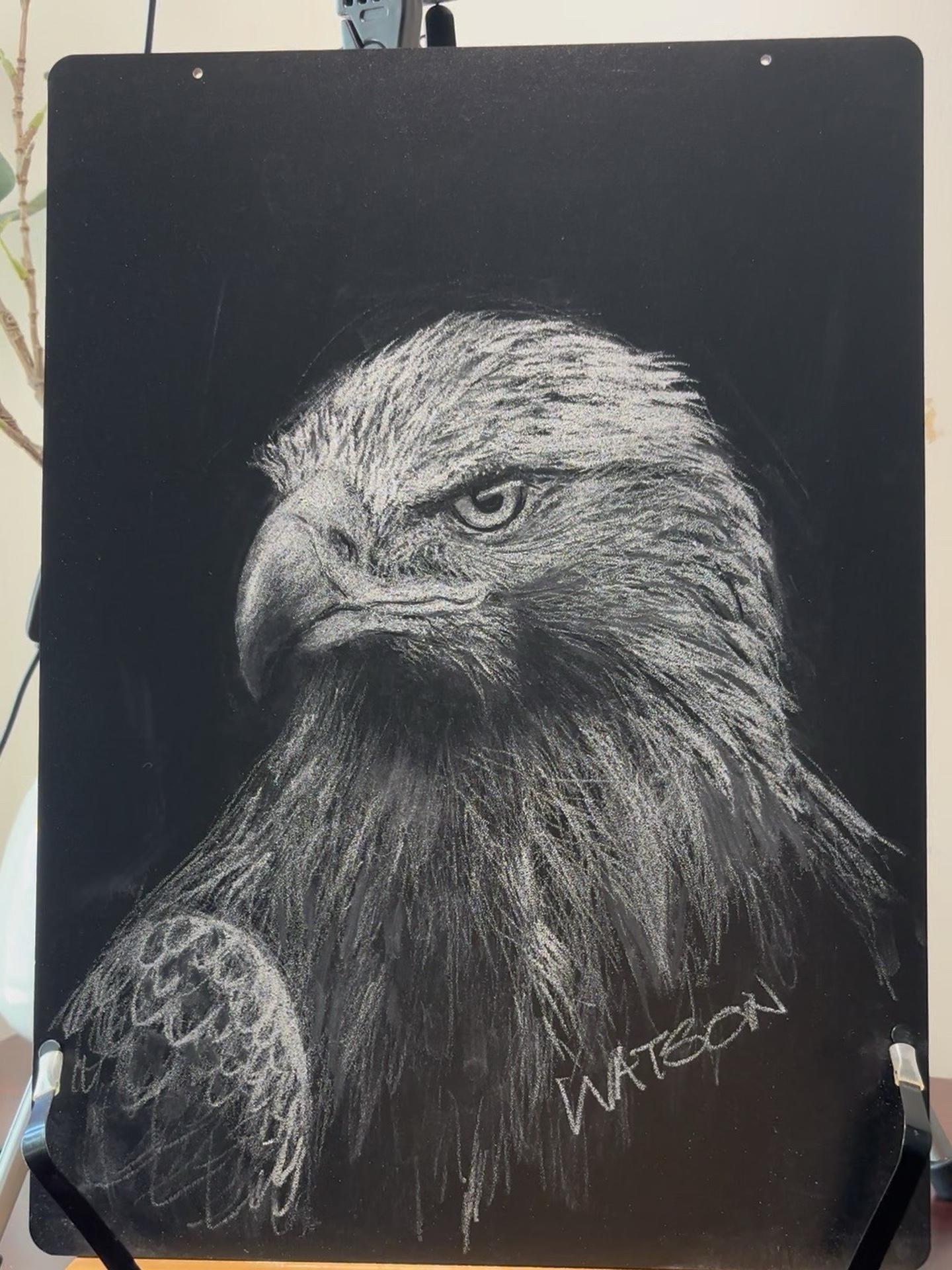 黑板粉笔画动物 这是粉笔作画的天花板吧 黑板报粉笔画 灵魂画手